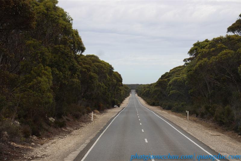 Uy lao Kangaroo Island (30)