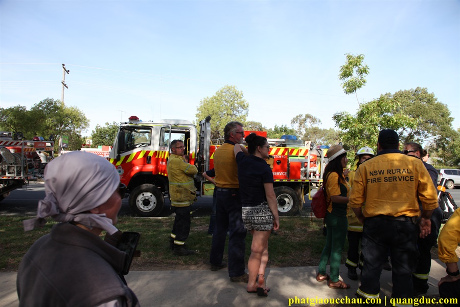 Lavington (14) Lavington (14)